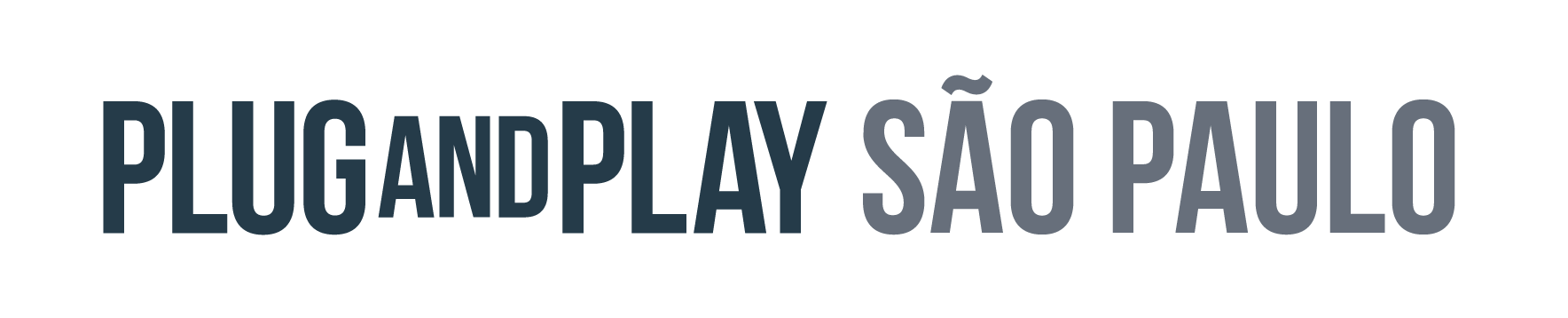 Plug And Play logo